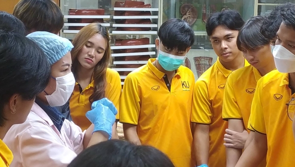 โครงการศึกษาดูงานเพื่อเพิ่มศักยภาพนิสิตระดับปริญญาตรี&quot;กายวิภาคศาสตร์&quot;